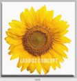 /album/photo-gallery-canvas-uri/decoratiuni-de-perete-canvas-lc-0242-jpg/